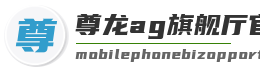 尊龙ag旗舰厅官网入口