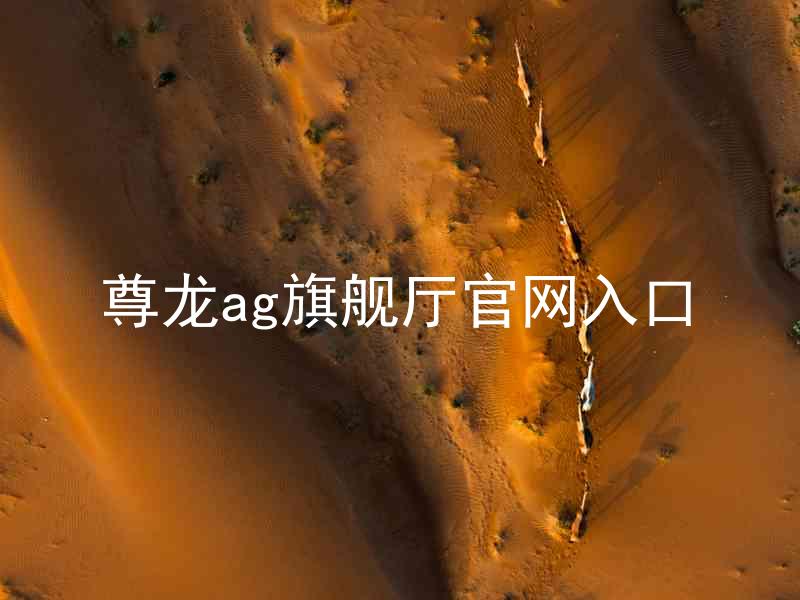 尊龙ag旗舰厅官网入口