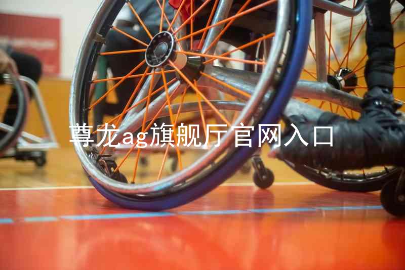 尊龙ag旗舰厅官网入口